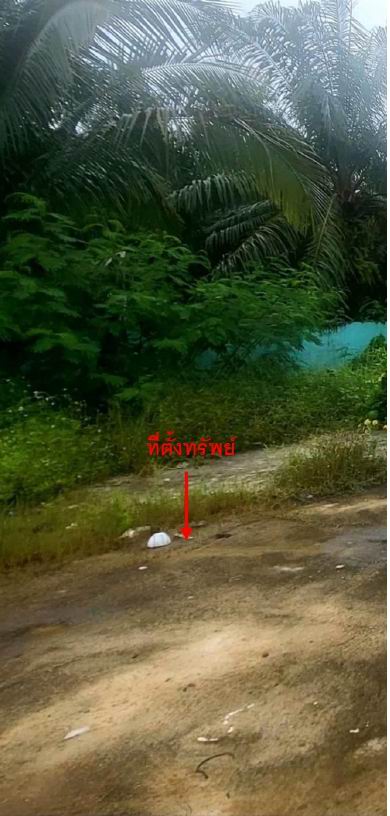 ขายทอดตลาด ที่ดินว่างเปล่า จ.สุราษฎร์ธานี
