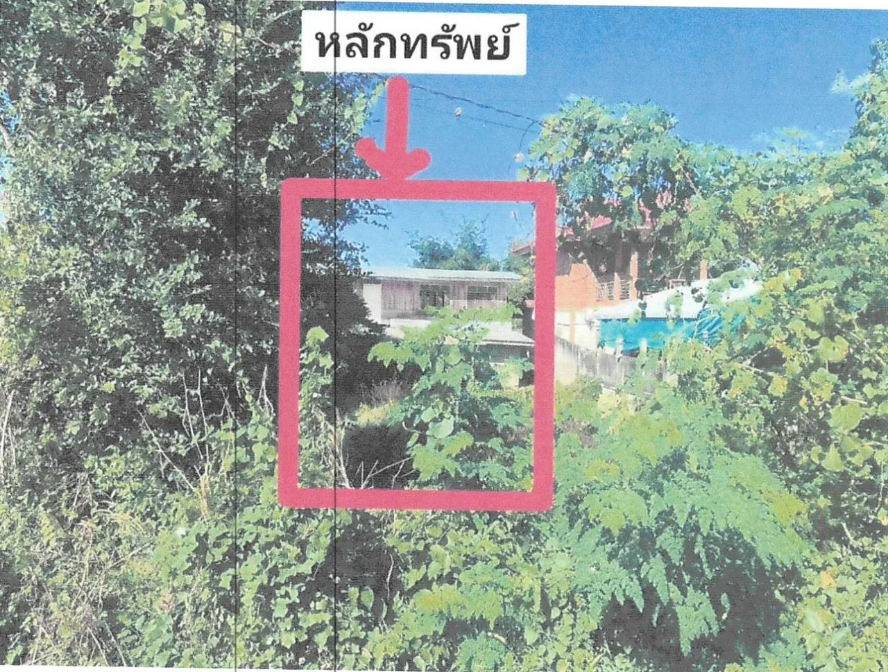 ขายทอดตลาด ที่ดินพร้อมสิ่งปลูกสร้าง ต.ศิลาดาน อ.มโนรมย์ จ.ชัยนาท