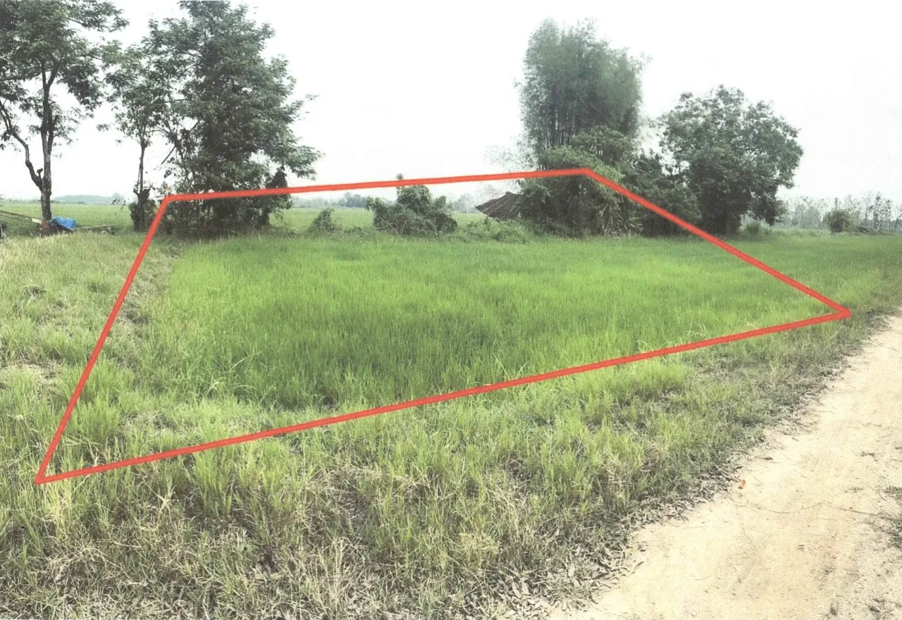 ขายทอดตลาด ที่ดินว่างเปล่า ต.ศรีเมืองชุม อ.แม่สาย จ.เชียงราย