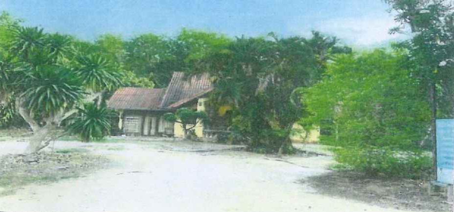 ขายทอดตลาด ที่ดินพร้อมสิ่งปลูกสร้าง ต.ดอนสัก อ.ดอนสัก จ.สุราษฎร์ธานี