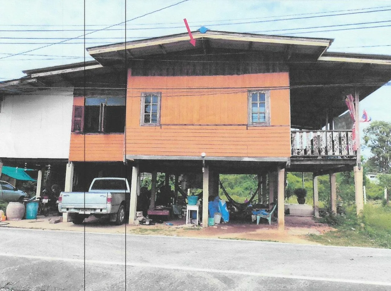 ขายทอดตลาด ที่ดินพร้อมสิ่งปลูกสร้าง ต.สรรพยา อ.สรรพยา จ.ชัยนาท