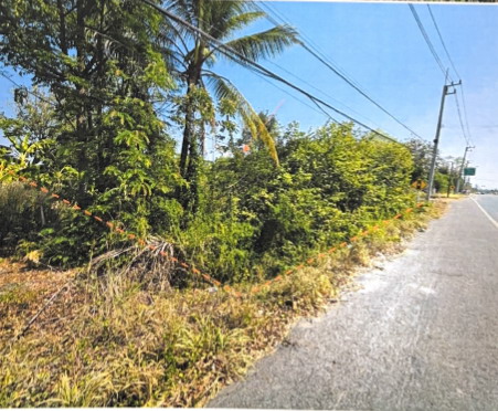 ขายทอดตลาด ที่ดินว่างเปล่า จ.ปราจีนบุรี