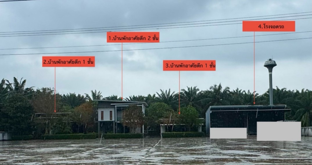 ขายทอดตลาด ที่ดินพร้อมสิ่งปลูกสร้าง ต.หนองไทร อ.พุนพิน จ.สุราษฎร์ธานี