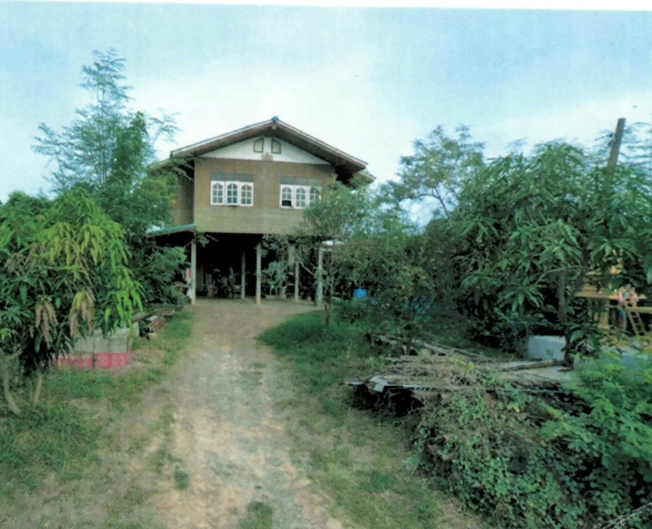 ขายทอดตลาด ที่ดินพร้อมสิ่งปลูกสร้าง จ.ชัยนาท
