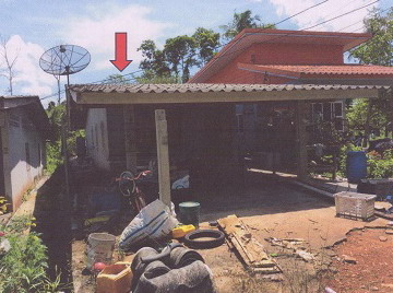 ขายทอดตลาด ที่ดินพร้อมสิ่งปลูกสร้าง ต.ทุ่งกระบือ อ.ย่านตาขาว จ.ตรัง