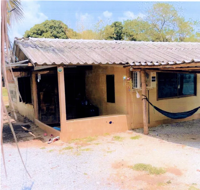 ขายทอดตลาด ที่ดินพร้อมสิ่งปลูกสร้าง ต.ย่านรี อ.สามเงา จ.ตาก