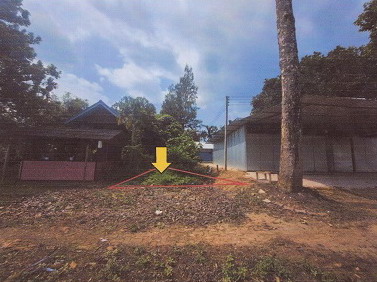 ขายทอดตลาด ที่ดินว่างเปล่า จ.ตรัง