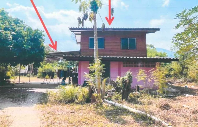 ขายทอดตลาด ที่ดินพร้อมสิ่งปลูกสร้าง ต.ย่านรี อ.สามเงา จ.ตาก