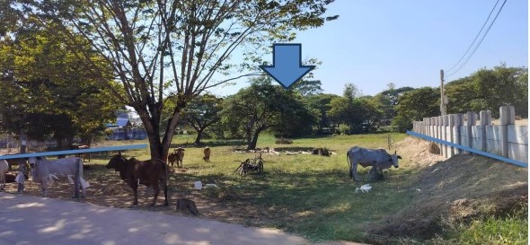 ขายทอดตลาด ที่ดินว่างเปล่า จ.อุดรธานี