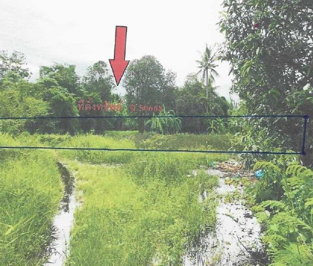 ขายทอดตลาด ที่ดินว่างเปล่า จ.ตาก