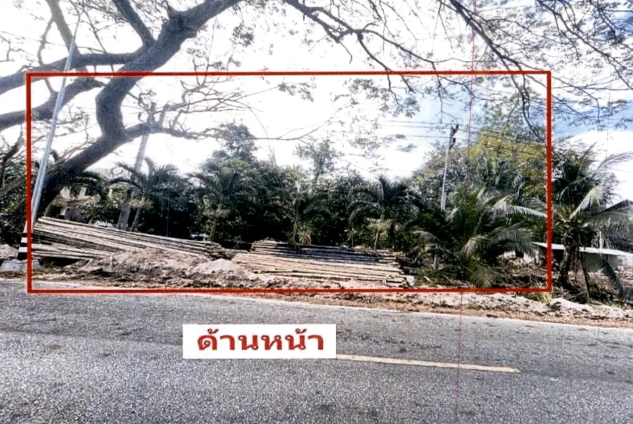 ขายทอดตลาด ที่ดินว่างเปล่า จ.สุราษฎร์ธานี