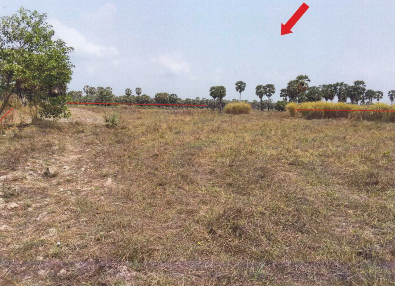 ขายทอดตลาด ที่ดินว่างเปล่า ต.หนองแก้ว อ.ประจันตคาม จ.ปราจีนบุรี