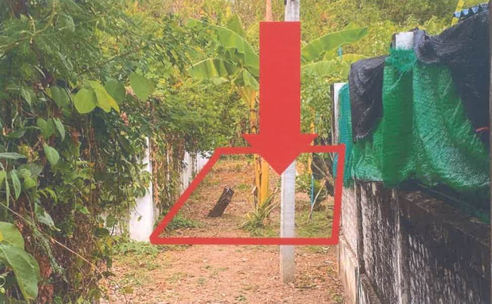 ขายทอดตลาด ที่ดินว่างเปล่า ต.หัวเดียด อ.เมืองตาก จ.ตาก