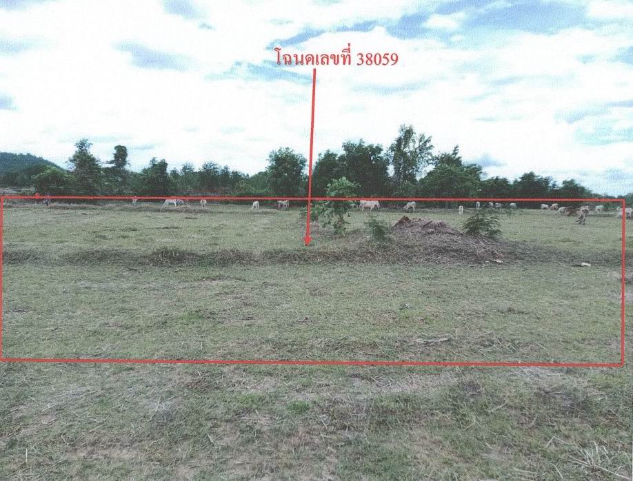 ขายทอดตลาด ที่ดินว่างเปล่า ต.ตลุกกลางทุ่ง อ.เมืองตาก จ.ตาก
