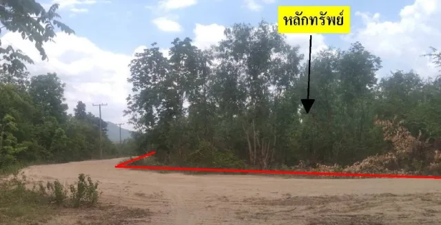 ขายทอดตลาด ที่ดินว่างเปล่า ต.ไม้งาม อ.เมืองตาก จ.ตาก