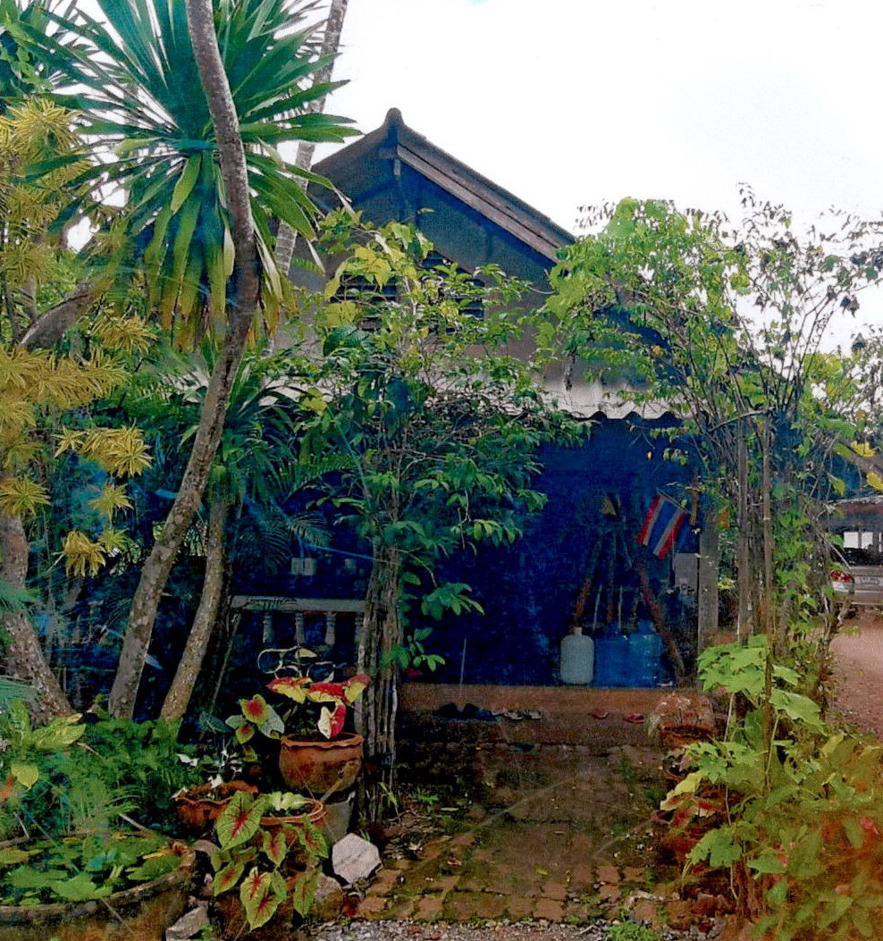 ขายทอดตลาด ที่ดินพร้อมสิ่งปลูกสร้าง ต.ปากแพรก อ.ดอนสัก จ.สุราษฎร์ธานี