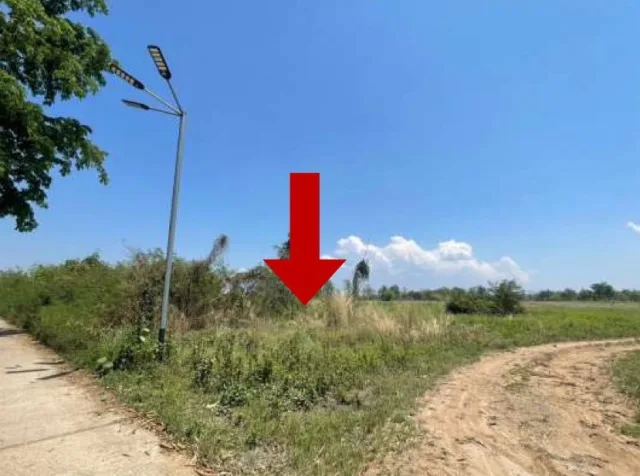 ขายทอดตลาด ที่ดินว่างเปล่า ต.วังประจบ อ.เมืองตาก จ.ตาก