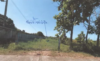 รูปทรัพย์ 2