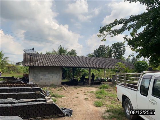 ขายทอดตลาด ที่ดินพร้อมสิ่งปลูกสร้าง ต.หนองบัวเหนือ อ.เมืองตาก จ.ตาก