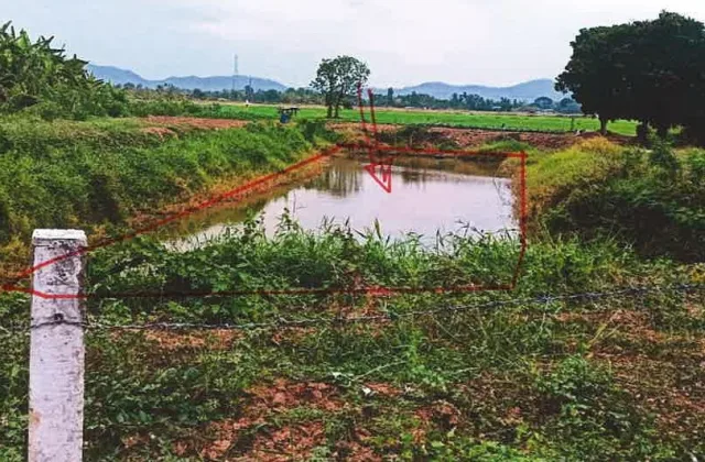 ขายทอดตลาด ที่ดินว่างเปล่า ต.วังหิน อ.เมืองตาก จ.ตาก