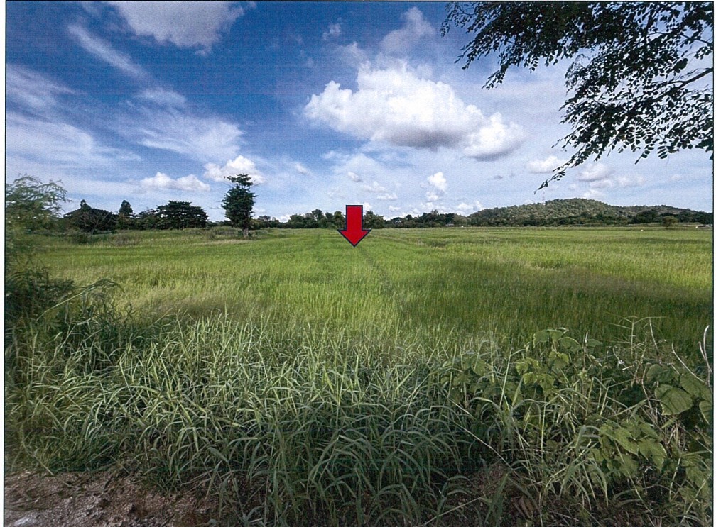 ขายทอดตลาด ที่ดินว่างเปล่า ต.เชียงทอง อ.วังเจ้า จ.ตาก