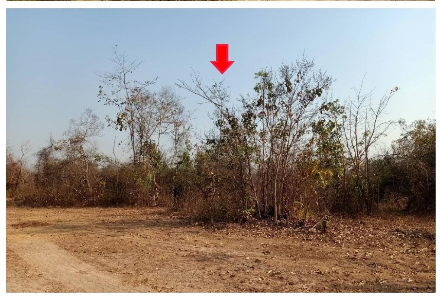 ขายทอดตลาด ที่ดินว่างเปล่า ต.โป่งแดง อ.เมืองตาก จ.ตาก