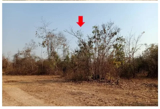 ขายทอดตลาด ที่ดินว่างเปล่า ต.โป่งแดง อ.เมืองตาก จ.ตาก