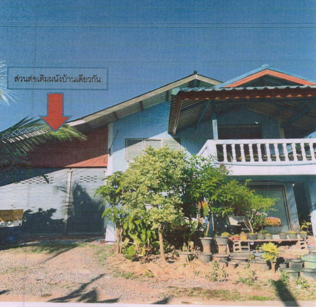 ขายทอดตลาด ที่ดินพร้อมสิ่งปลูกสร้าง ต.มะขามเตี้ย อ.เมืองสุราษฎร์ธานี จ.สุราษฎร์ธานี
