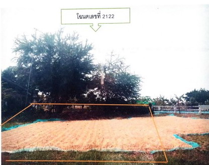 ขายทอดตลาด ที่ดินว่างเปล่า จ.นครราชสีมา