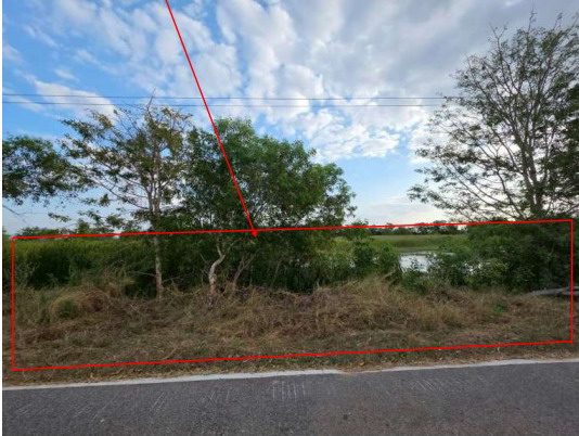 ขายทอดตลาด ที่ดินว่างเปล่า จ.นครราชสีมา