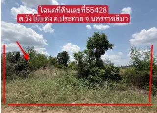 รูปทรัพย์ 2