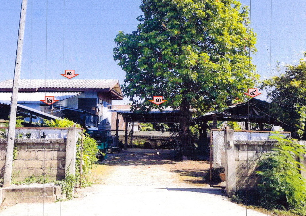 ขายทอดตลาด ที่ดินพร้อมสิ่งปลูกสร้าง ต.ป่าซาง อ.แม่จัน จ.เชียงราย