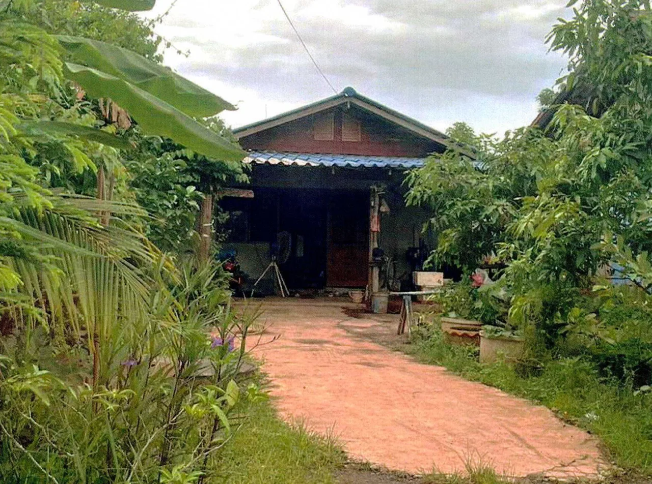 ขายทอดตลาด ที่ดินพร้อมสิ่งปลูกสร้าง ต.ขุนทะเล อ.เมืองสุราษฎร์ธานี จ.สุราษฎร์ธานี
