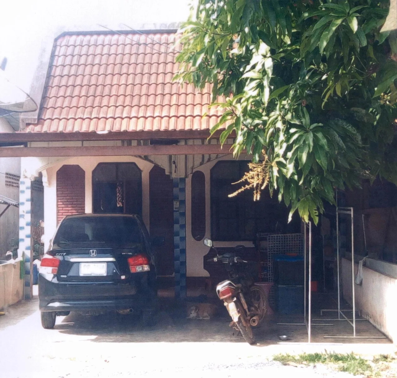 ขายทอดตลาด ที่ดินพร้อมสิ่งปลูกสร้าง ต.บางด้วน อ.ปะเหลียน จ.ตรัง