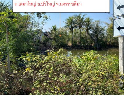 ขายทอดตลาด ที่ดินว่างเปล่า จ.นครราชสีมา