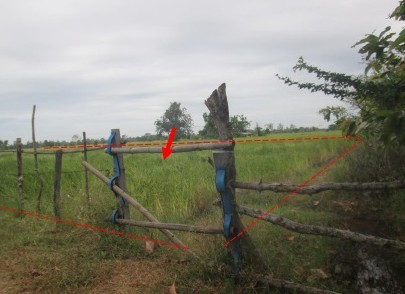 ขายทอดตลาด ที่ดินว่างเปล่า จ.นครราชสีมา
