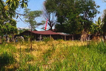 ขายทอดตลาด ที่ดินพร้อมสิ่งปลูกสร้าง ต.โนนสำราญ อ.แก้งสนามนาง จ.นครราชสีมา