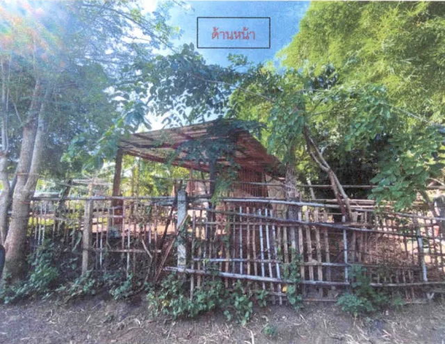 ขายทอดตลาด ที่ดินพร้อมสิ่งปลูกสร้าง ต.บัวใหญ่ อ.บัวใหญ่ จ.นครราชสีมา