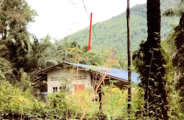 ขายทอดตลาด ที่ดินพร้อมสิ่งปลูกสร้าง จ.ชุมพร