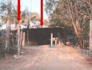 ขายทอดตลาด ที่ดินพร้อมสิ่งปลูกสร้าง ต.บัวใหญ่ อ.บัวใหญ่ จ.นครราชสีมา