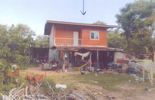 ขายทอดตลาด ที่ดินพร้อมสิ่งปลูกสร้าง ต.กระทุ่มราย อ.ประทาย จ.นครราชสีมา