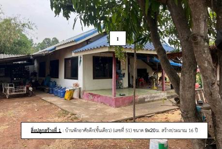 ขายทอดตลาด ที่ดินพร้อมสิ่งปลูกสร้าง ต.หนองตาดใหญ่ อ.สีดา จ.นครราชสีมา