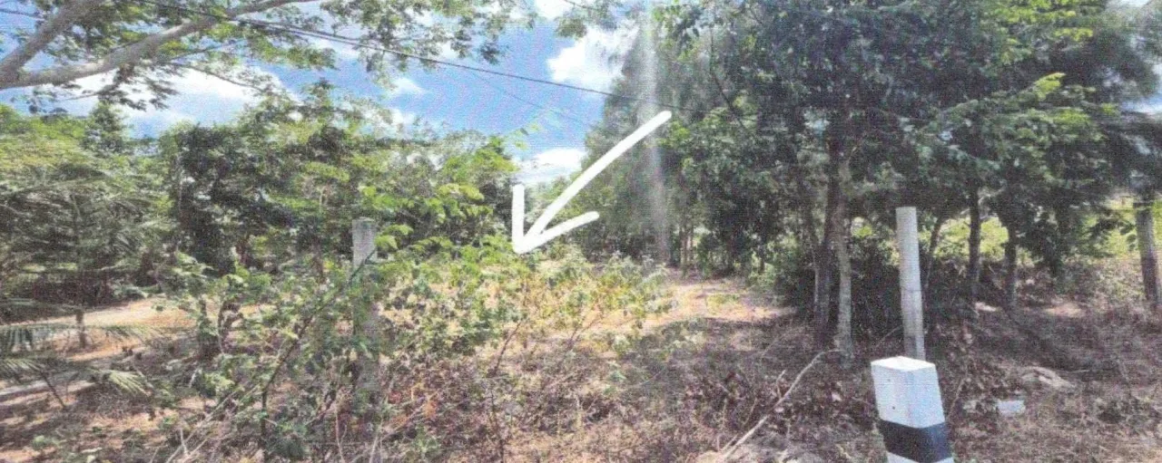 ขายทอดตลาด ที่ดินว่างเปล่า จ.ปัตตานี
