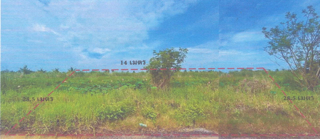ขายทอดตลาด ที่ดินว่างเปล่า ต.ดอนเกาะกา อ.บางน้ำเปรี้ยว จ.ฉะเชิงเทรา