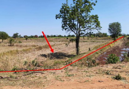 ขายทอดตลาด ที่ดินว่างเปล่า จ.นครราชสีมา
