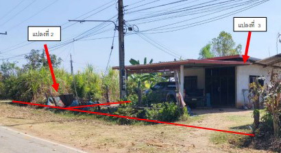 ขายทอดตลาด ที่ดินพร้อมสิ่งปลูกสร้าง ต.ขุนทอง อ.บัวใหญ่ จ.นครราชสีมา