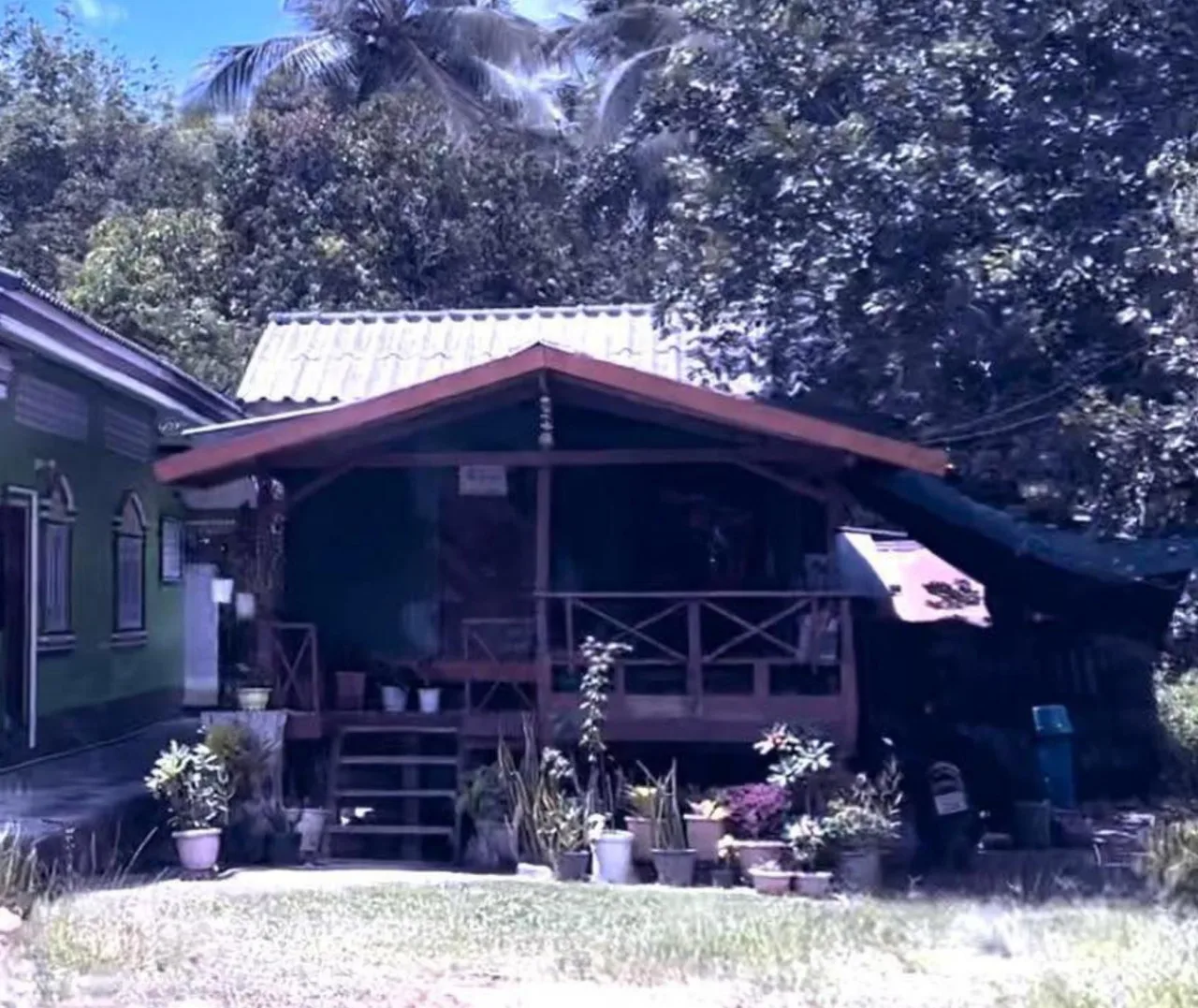 ขายทอดตลาด ที่ดินพร้อมสิ่งปลูกสร้าง ต.เมาะมาวี อ.ยะรัง จ.ปัตตานี