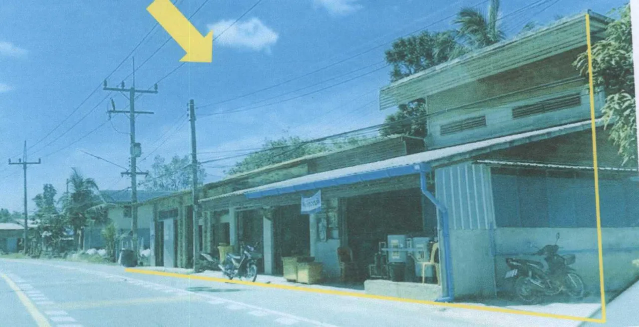 ขายทอดตลาด ที่ดินพร้อมสิ่งปลูกสร้าง ต.คอลอตันหยง อ.หนองจิก จ.ปัตตานี
