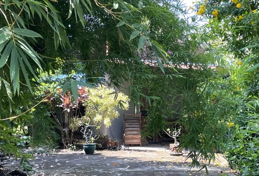ขายทอดตลาด ที่ดินพร้อมสิ่งปลูกสร้าง ต.เมืองคง อ.คง จ.นครราชสีมา