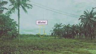 ขายทอดตลาด ที่ดินว่างเปล่า จ.ชุมพร